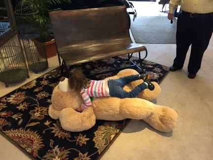 Greta attacking the bear at Good s Furniture3